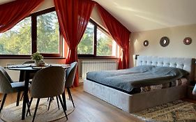 Rustic Mountain Apartment - A55